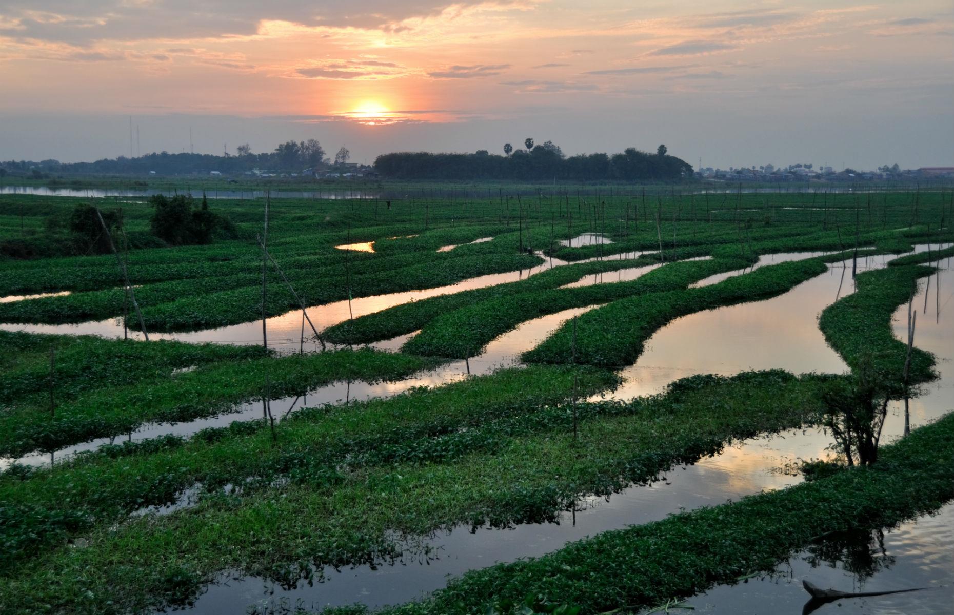 Boeung Kak Lake, Cambodia